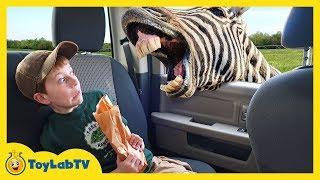 Animal Adventure Park Zoo with Animals for Kids, Dinosaur Fossil & Fun Outdoor Wildlife Activities