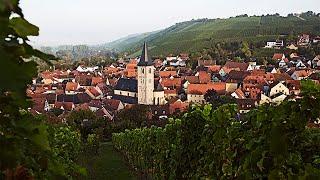 Explore Wines of Germany: Franken