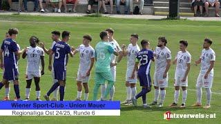 Highlights Wiener Sport-Club - Union Mauer, Regionalliga Ost 24/25