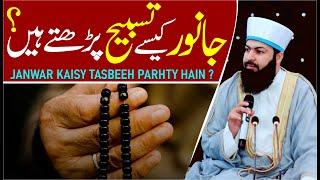 Janwar Kaisy Tasbeeh Parhty Hain ? | Mufti Abdul Wahid Qureshi |  جانور کیسے تسبیح پڑھتے ہیں ؟