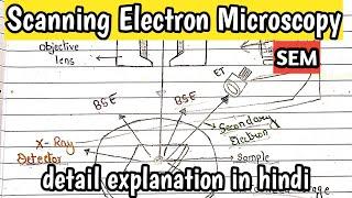 Scanning electronic microscopy[SEM] |  Detail explanation in hindi #kanhaiyapatel