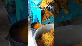 palm oil processing