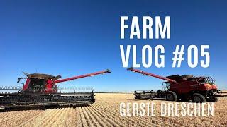 Australien Farm Vlog #05 Gerste dreschen mit 6 Mähdreschern