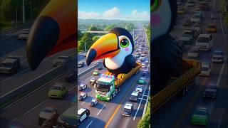 ️ Evolution of Catapillar: Big Toco Toucan Bird Transporting  #cat #cute #love #shorts