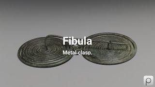 Fibula. Find public domain images of Fibula at https://PICRYL.com