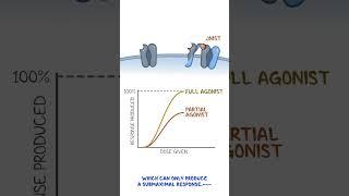 Clinical Cuts: Pharmacodynamics - Agonist, partial agonist, antagonist