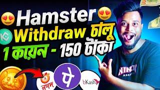 Hamster Kombat কিভাবে টাকা তুলব | hamster kombat withdrawal | hamster kombat ton wallet connect