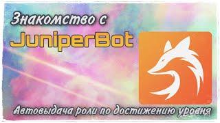 Настройка JuniperBot, выдача и удаление роли по достижению уровня ботом; обзор и аудит