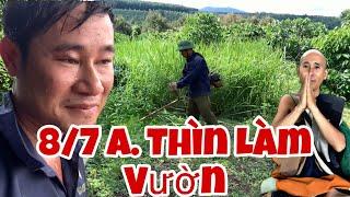 Sáng ngày 7 tháng 8, Theo chân anh thìn em trai út của Sư Minh Tuệ ra vườn sầu riêng cắt cỏ