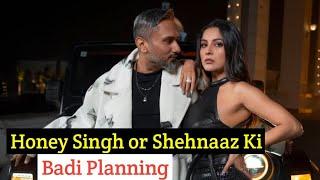 Shehnaaz Gill Or Honey Singh Milke Karrhe Hain Nayi Planning | Trending World