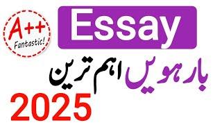 2nd Year English Guess Paper 2025 | 12th Class English Guess Paper 2025 | Most important Essay