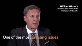 William Winram – IUCN World Conservation Congress 2016