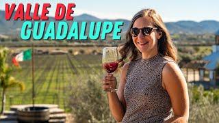 A Perfect Trip to Mexico Wine Country! (Valle de Guadalupe Baja Travel Guide)