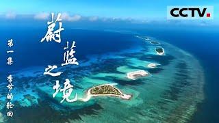 《蔚蓝之境》第一集 海洋是众多生灵赖以生存的家园 但为何生命却面临海洋残酷的考验？【CCTV纪录】