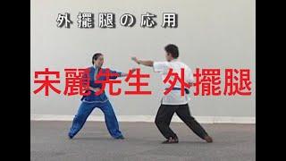 宋麗老師　Chinese Wushu kick　外擺腿　Wai-Bai-Tui