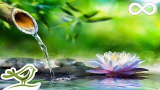 Soothing Relaxation: Relaxing Piano Music & Water Sounds for Sleep, Meditation, Spa & Yoga