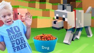 HOW TO TREAT THE TITLE OF THE DOG TO THE MINECRAFT HOW TO GET THE WOLF IN THE MINECRAFT 1.12.2