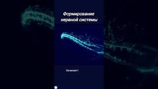 Это чудо!
