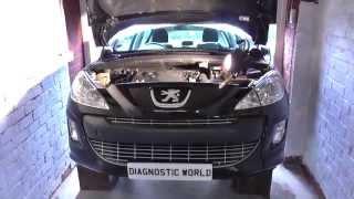 Peugeot 308 Power Steering Fluid Top Up Location