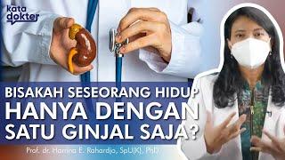 Dapatkah Seseorang Hidup Hanya Dengan 1 Ginjal Saja? | Kata Dokter