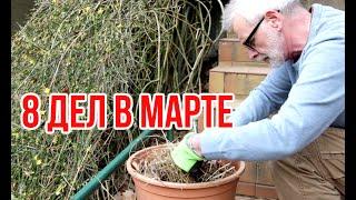 8 important gardening tasks in March / Igor Bilevich