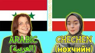 Similarities Between Arabic and Chechen