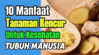 Inilah 10 Manfaat Kencur untuk Kesehatan Tubuh