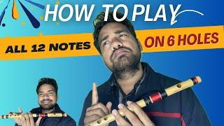 How to Play all 12 notes on a Flute बाँसुरी पर सभी 12 स्वर कैसे बजाएं