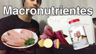 Como planejar sua dieta #2: Macronutrientes e fibras (como calcular seus macros)