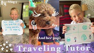 Day in the life of a traveling TUTOR & HER PUPPY [VLOG 5]