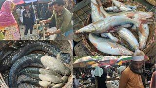 A December Morning at Sylhet Bateshwar Fish Market