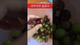 [페루생활] 페루정글 과일 까무까무 Camu camu