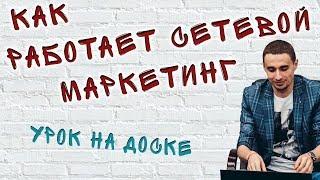 Как работает сетевой маркетинг | Суть МЛМ на доске