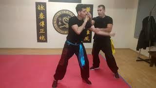 Sifu Vasilis Mitilinos