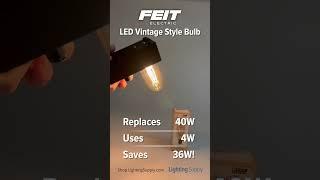 Feit Electric T14 Vintage Edison LED Bulb (T14/VG/LED) #youtubeshorts #ledlight @feitelectric