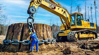 Most Big Chainsaw Cutting Tree Machines | Monster Stump Removal Excavator #811