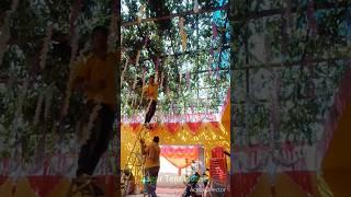 Home Decoration for Wedding | #shorts #decor