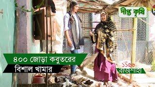 Deepto Krishi/দীপ্ত কৃষি - ৪০০ জোড়া কবুতরের বিশাল খামার | রাজশাহী | 1154