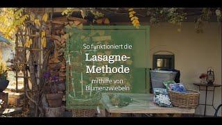 Die Lasagne-Methode mit Blumenzwiebeln