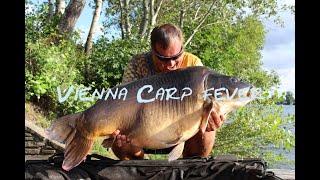 Vienna Carp Fever