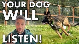 How To Train ANY Dog to ALWAYS Come — No Matter the Distraction