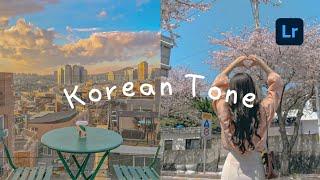 Korean Tone Lightroom Mobile Presets Free Download DNG