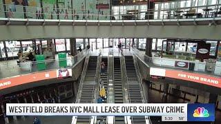 Westfield mall seeks to end World Trade Center lease over homelessness and crime | NBC New York