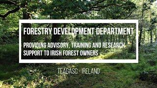 Teagasc Forestry Development Department provides advice, training & research to Irish forest owners