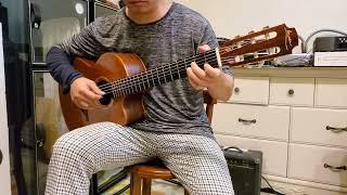 One Minute High-end Luthier Guitar Demo #48: Lowden S25j Indian Rosewood - Bach/Bourree in E minor