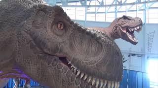 PSVR/QUEST 3D: DINOSAUR EXPEDITION - NY State Fair