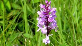 Naturschutzgebiete im Hochsauerlandkreis