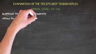 Examination of the Triceps Deep Tendon Reflex