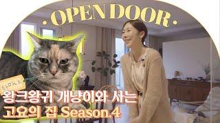 [Open door] 인테리어 컨셉is 할매니얼 스타일? 개냥이 세마리와 사는 공간 디렉터 최고요의 네 번째 하우스ㅣ랜선집들이 House Room Tour