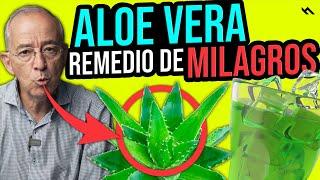 ALOE VERA PENCA SABILA Y SUS INFINITOS BENEFICIOS MILAGROSOS - Oswaldo Restrepo RSC